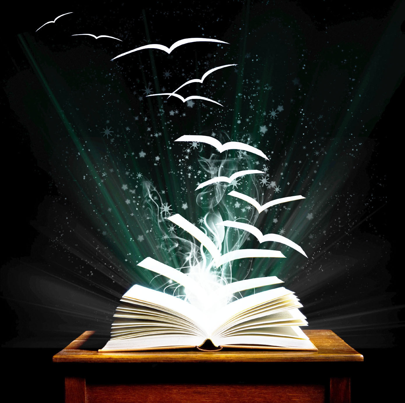 France Harry Potter Wiki FANDOM powered by Wikia